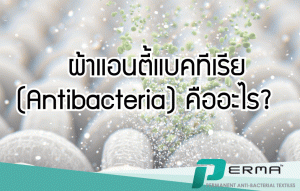 Read more about the article ผ้าแอนตี้แบคทีเรีย (Antibacteria) คืออะไร?