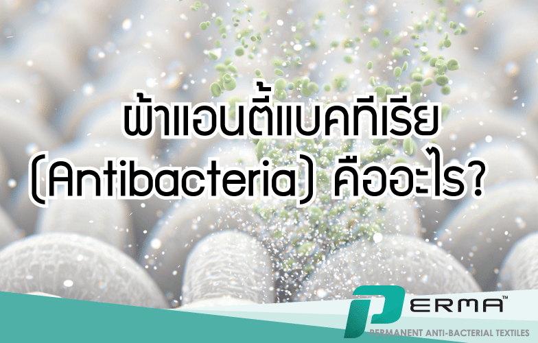 You are currently viewing ผ้าแอนตี้แบคทีเรีย (Antibacteria) คืออะไร?