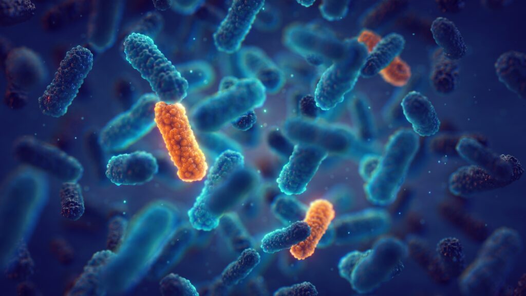 Bacteria in sportswear fabric cause persistent odor